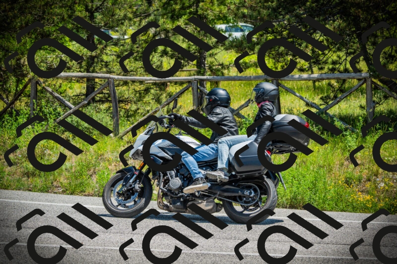 202506021246-DSC04850_c1_