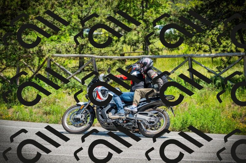 202506021247-DSC04853_c1_