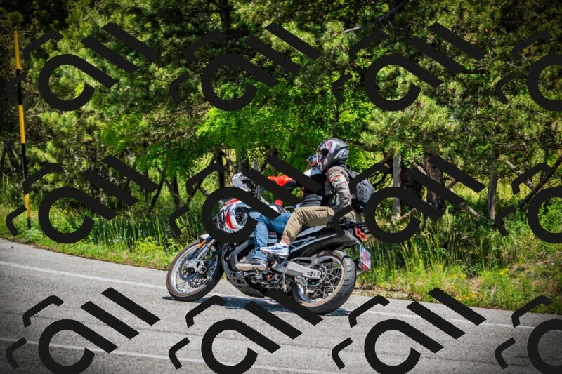 202506021247-DSC04854_c1_