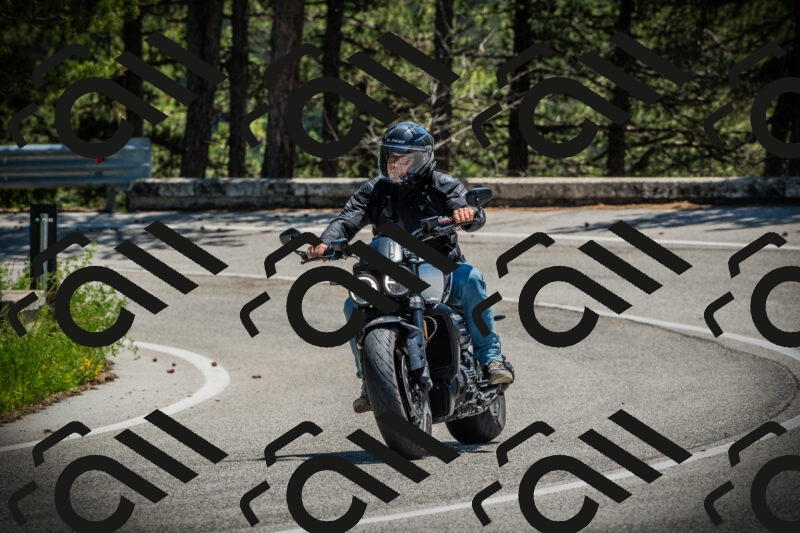 202506021247-DSC04856_c1_