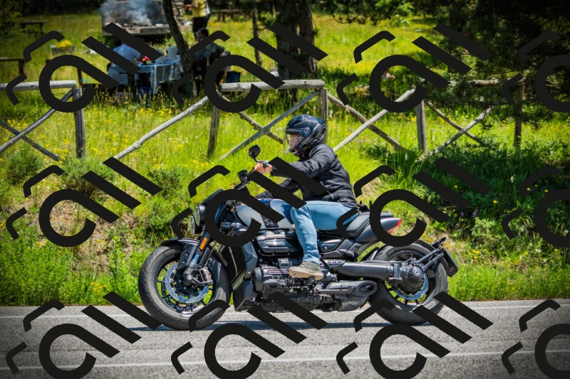 202506021247-DSC04858_c1_