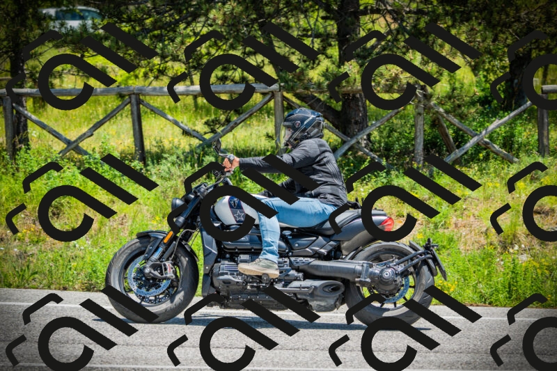 202506021247-DSC04859_c1_