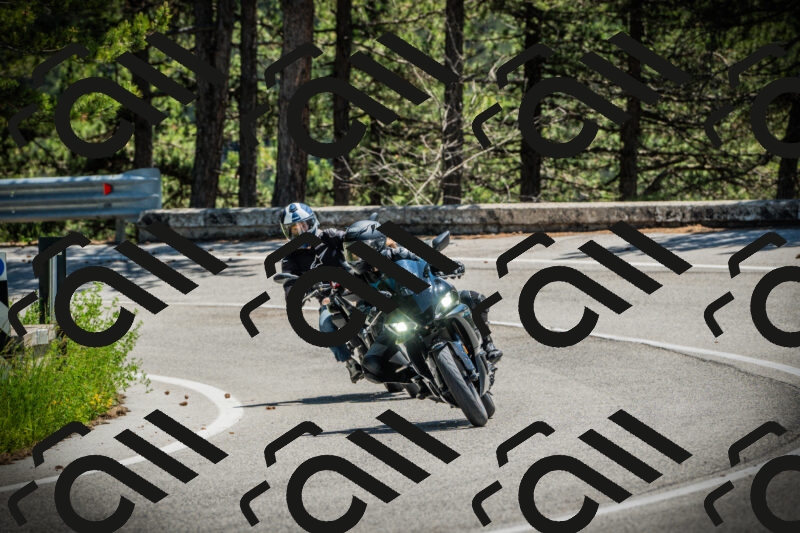 202506021247-DSC04861_c1_