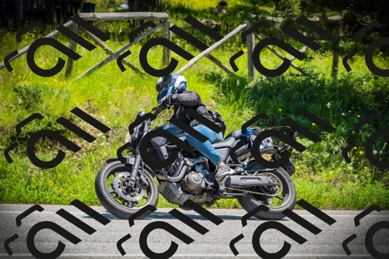 202506021247-DSC04864_c1_