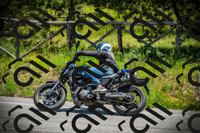 202506021247-DSC04865_c1_