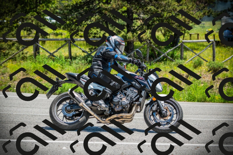 202506021247-DSC04869_c1_