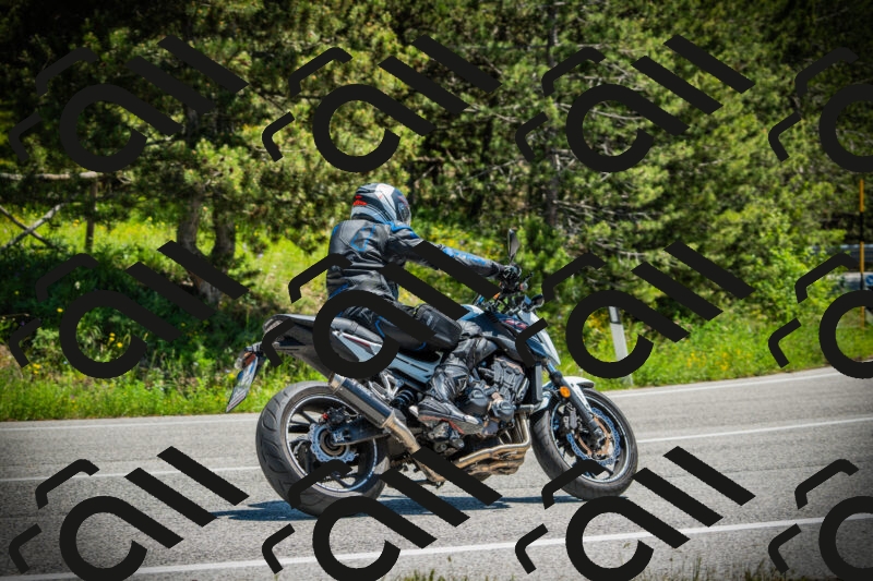 202506021247-DSC04870_c1_