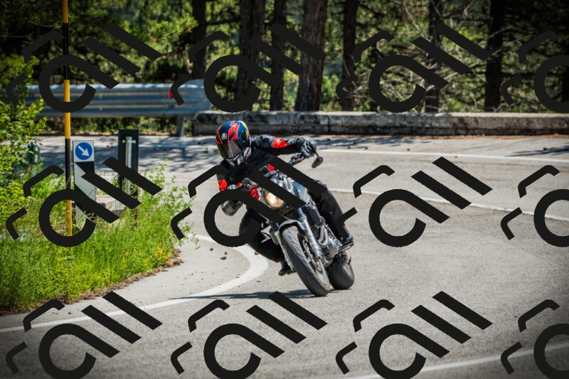 202506021249-DSC04875_c1_