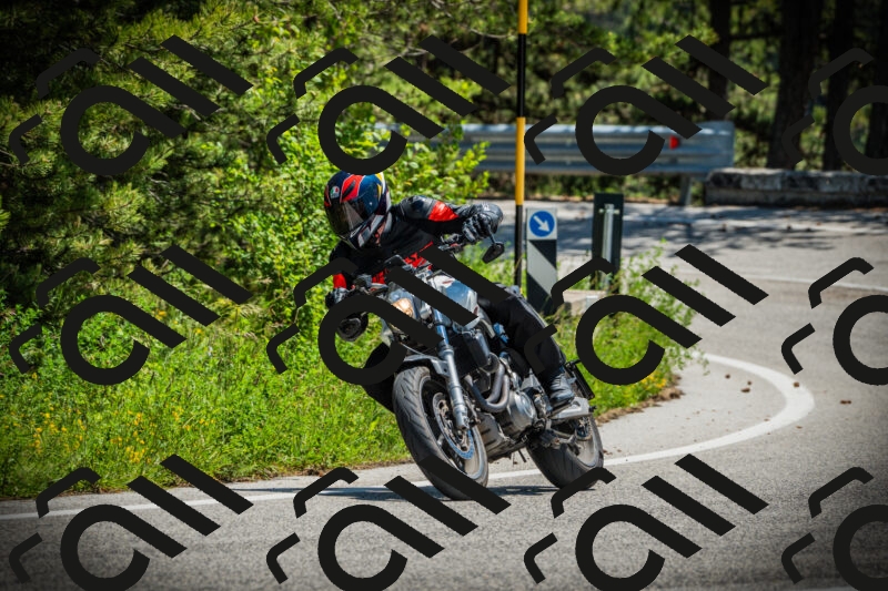 202506021249-DSC04876_c1_