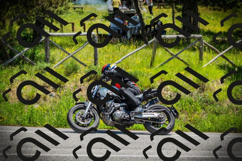 202506021249-DSC04877_c1_