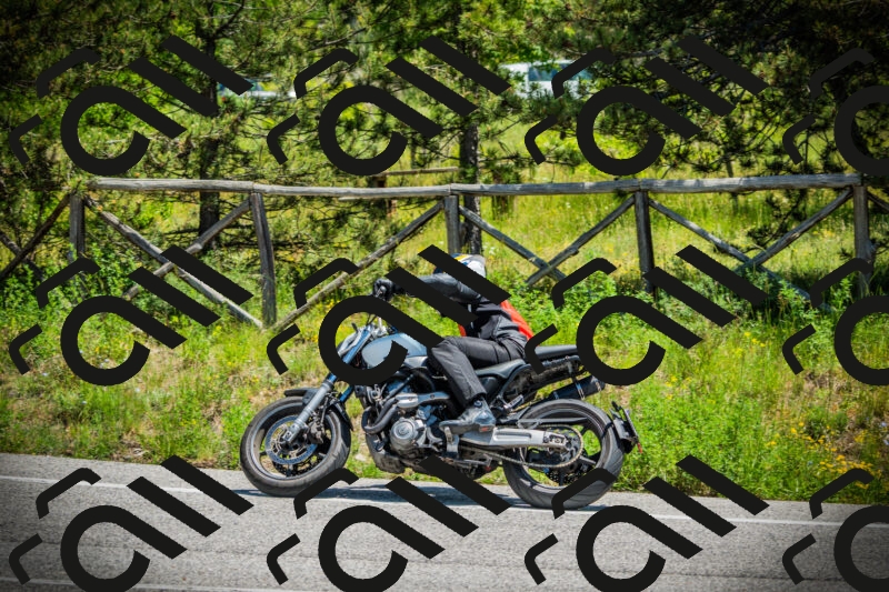 202506021249-DSC04878_c1_