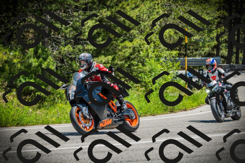 202506021250-DSC04880_c1_