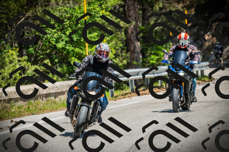 202506021250-DSC04893_c1_