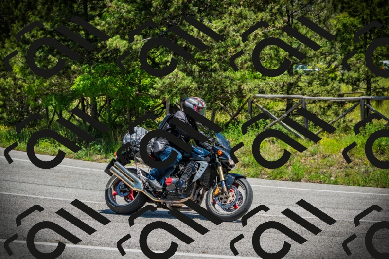 202506021250-DSC04896_c1_