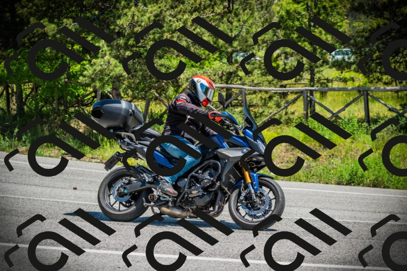 202506021250-DSC04897_c1_