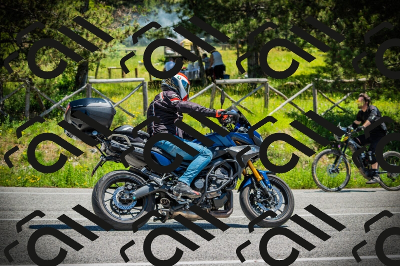 202506021250-DSC04898_c1_