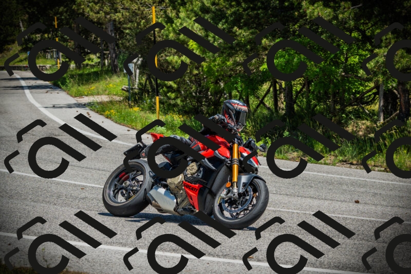 202506021250-DSC04908_c1_