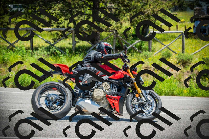 202506021250-DSC04909_c1_