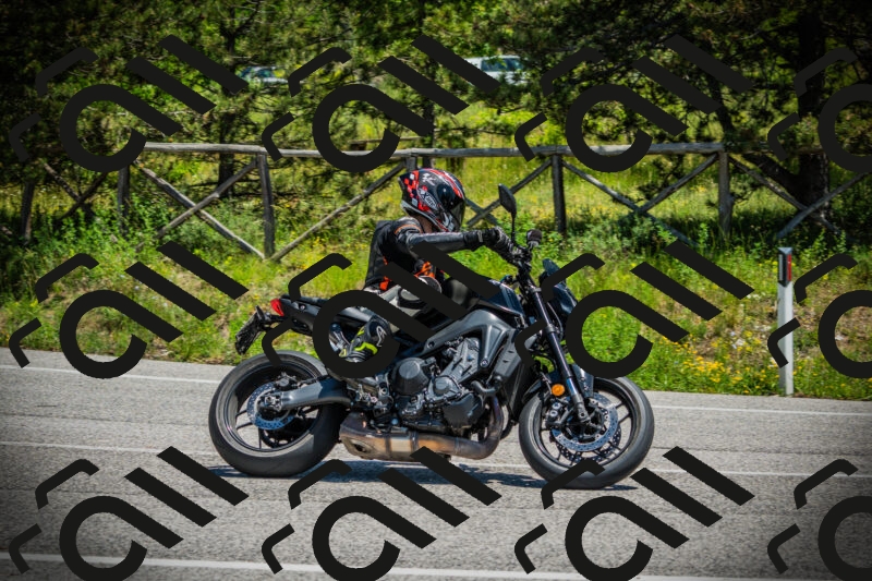 202506021251-DSC04911_c1_