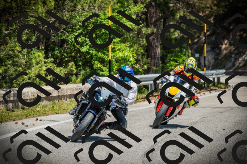 202506021251-DSC04915_c1_