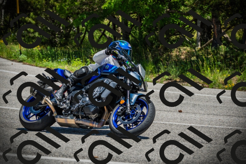 202506021251-DSC04917_c1_