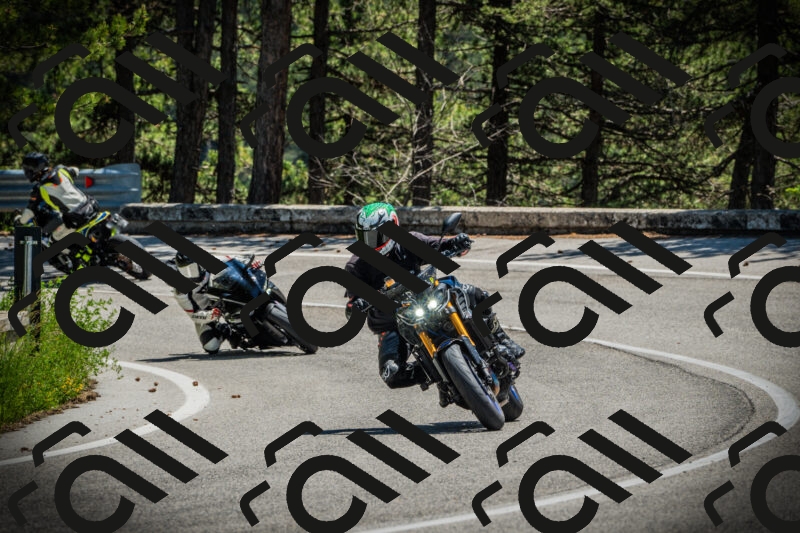 202506021251-DSC04927_c1_