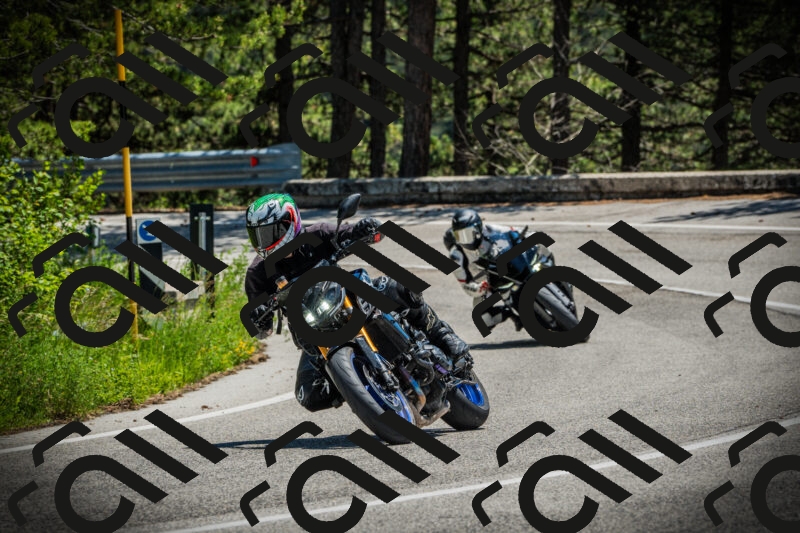 202506021251-DSC04928_c1_