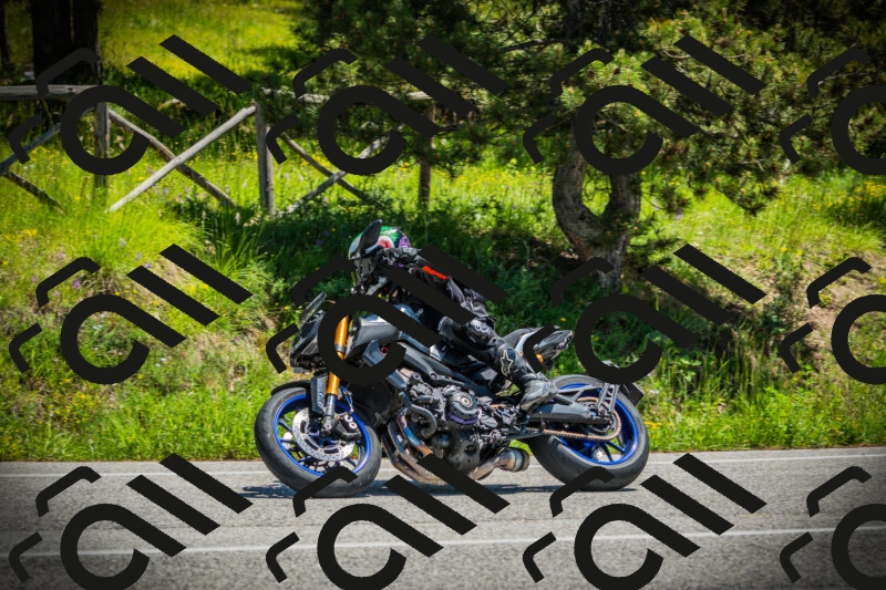 202506021251-DSC04929_c1_