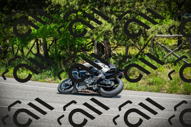 202506021251-DSC04931_c1_