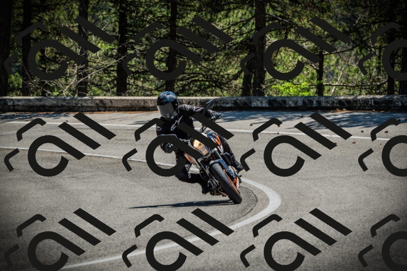 202506021252-DSC04933_c1_