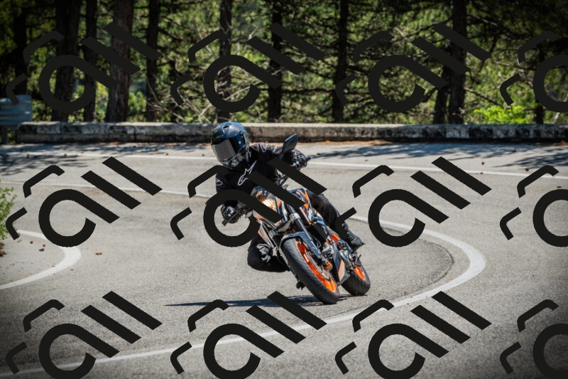 202506021252-DSC04934_c1_