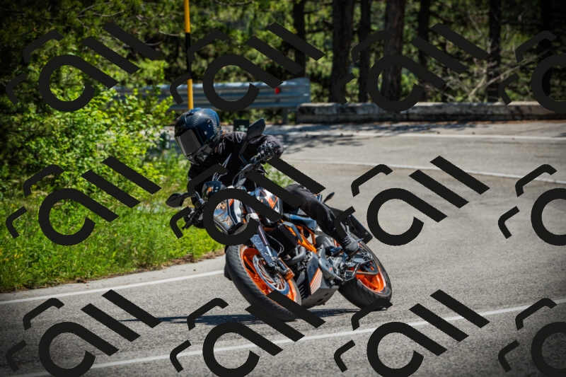 202506021252-DSC04935_c1_