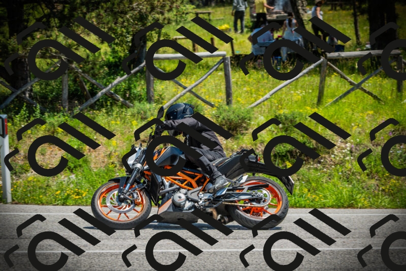 202506021252-DSC04936_c1_