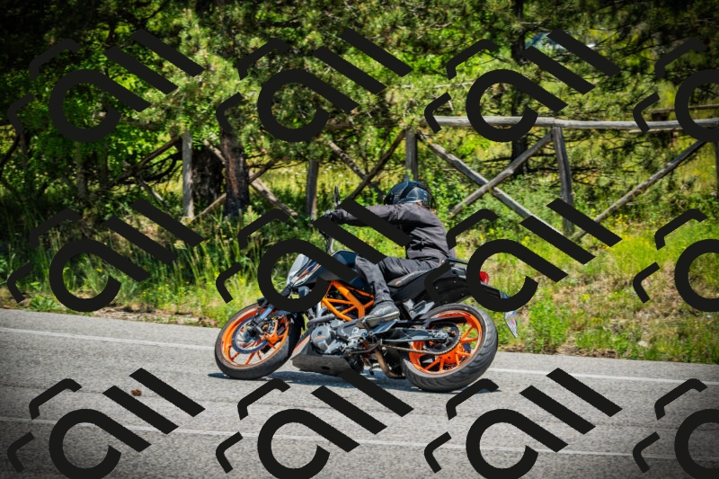 202506021252-DSC04937_c1_