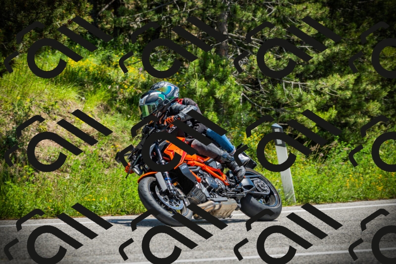 202506021252-DSC04939_c1_