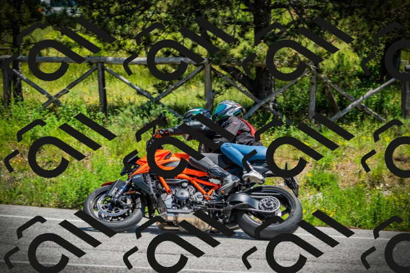 202506021252-DSC04940_c1_