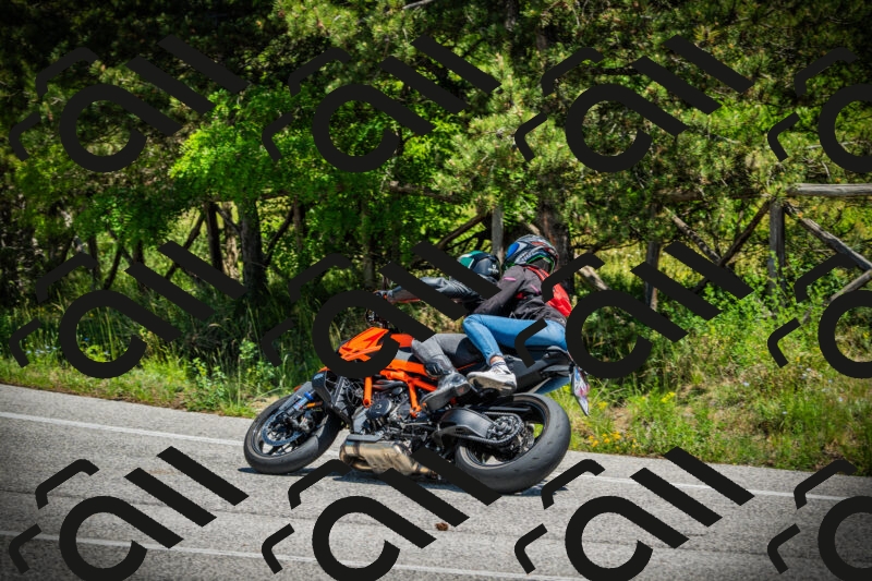 202506021252-DSC04941_c1_