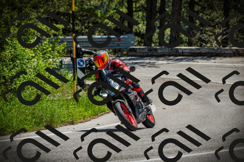 202506021252-DSC04943_c1_