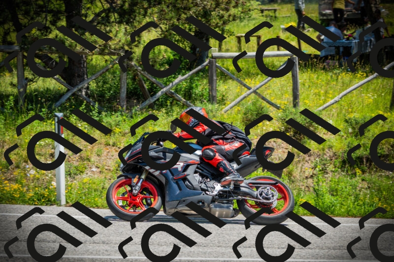 202506021252-DSC04945_c1_