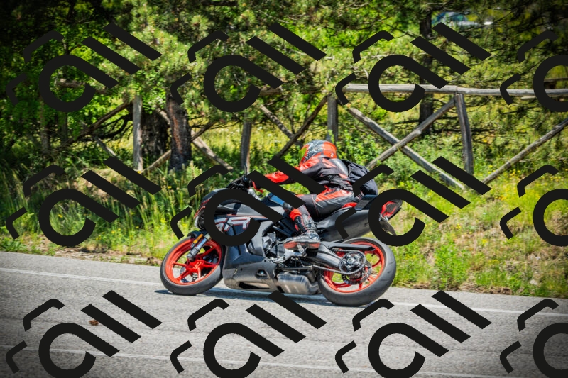 202506021252-DSC04946_c1_