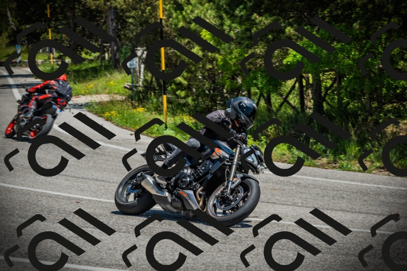 202506021252-DSC04947_c1_