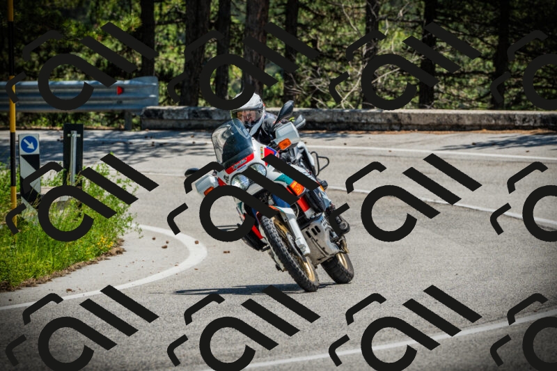 202506021253-DSC04953_c1_