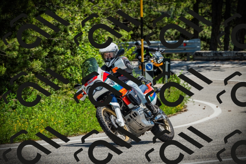 202506021253-DSC04954_c1_