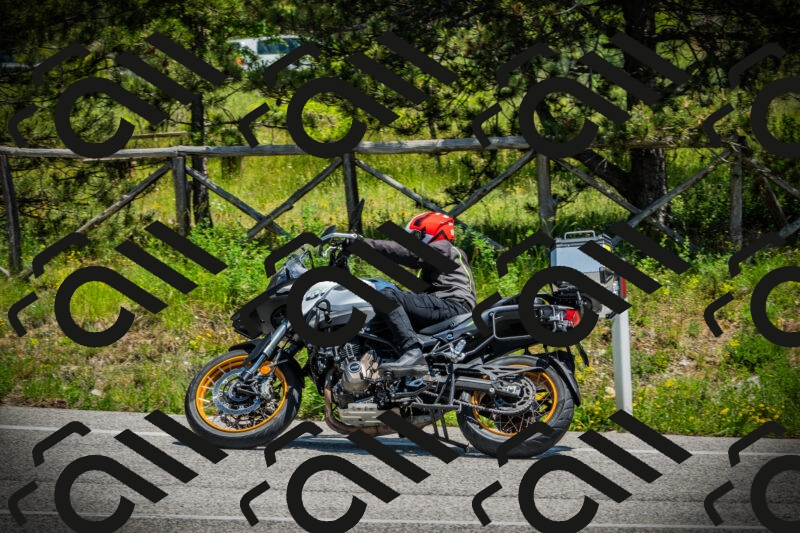 202506021253-DSC04957_c1_