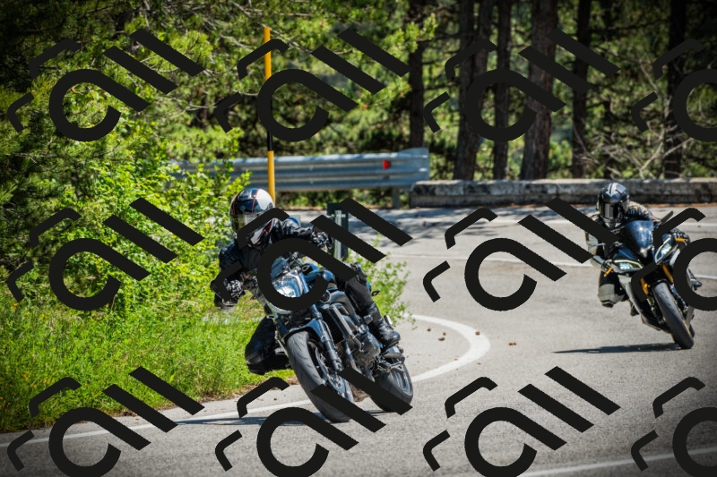 202506021253-DSC04962_c1_