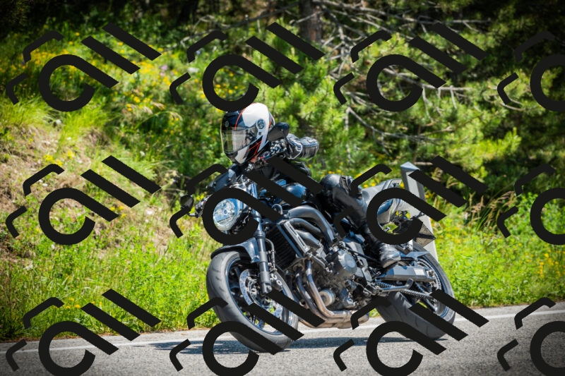 202506021253-DSC04963_c1_