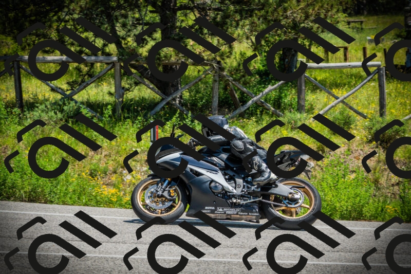 202506021253-DSC04965_c1_