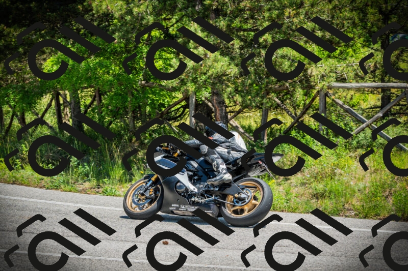 202506021253-DSC04966_c1_