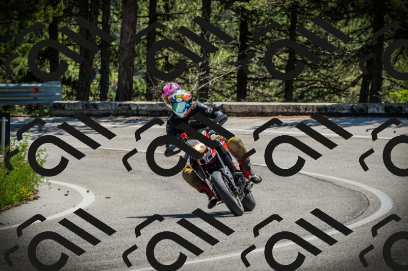 202506021253-DSC04967_c1_