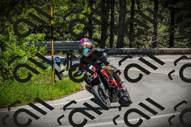 202506021253-DSC04968_c1_